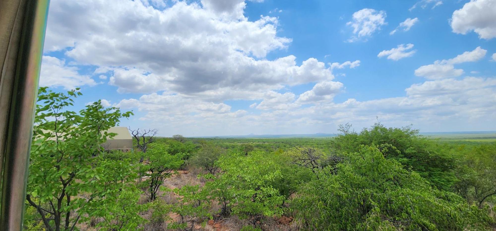 Mopane Bush Lodge