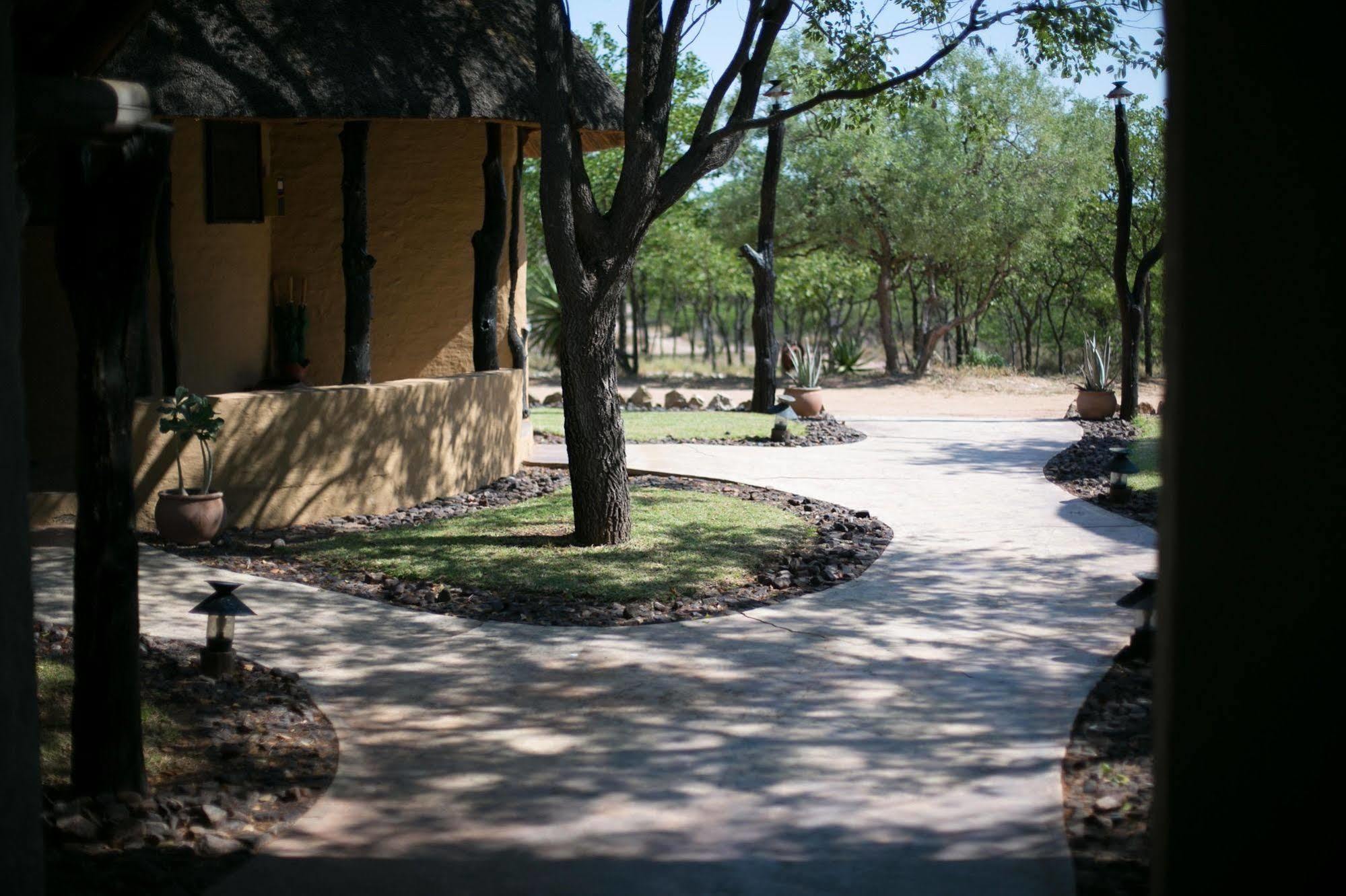 Lodge Mopane Bush *