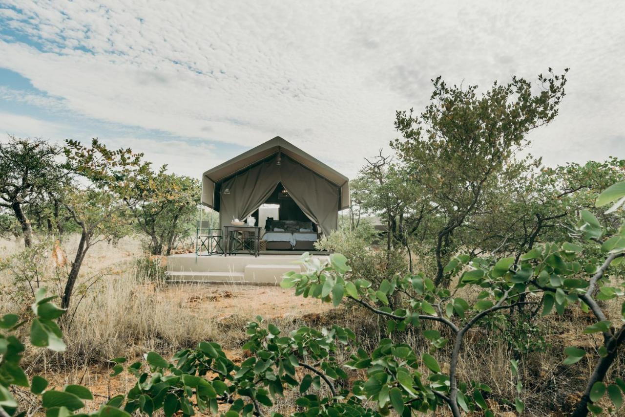 Lodge Mopane Bush